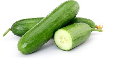 Fresh Cucumber خيار طازج
