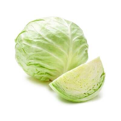 White Cabbage ملفوف ابيض