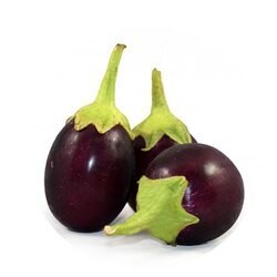Fresh Baby Eggplant باذنجان صغير للكبيس