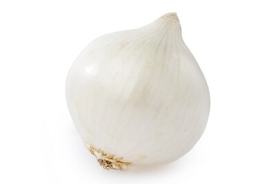 White Onions بصل ابيض