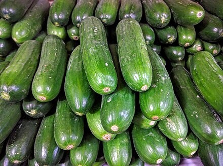 Organic Cucumber خيار عضوى