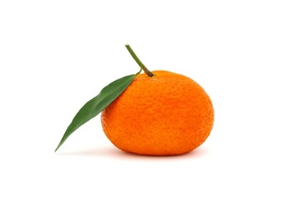Clementine South Africa كلمنتينا