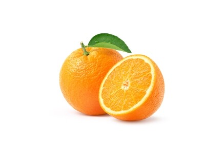 Fresh Valencia Orange برتقال للعصير