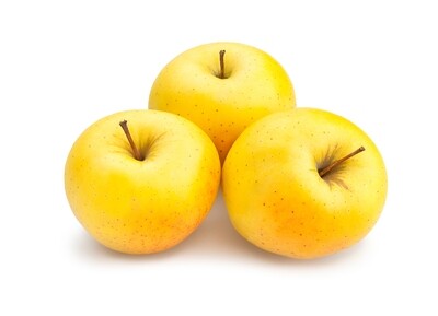 Golden Apple Iran تفاح اصفر