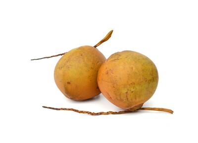 Yellow king Coconuts جوز الهند سريلانكا