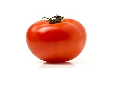 Fresh Tomato طماطم