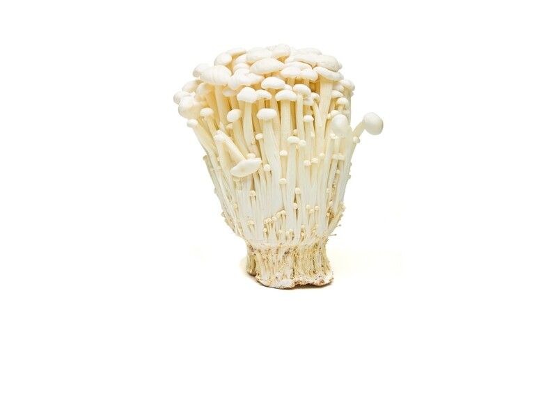 Enoki Mushroom   فطر إنوكى