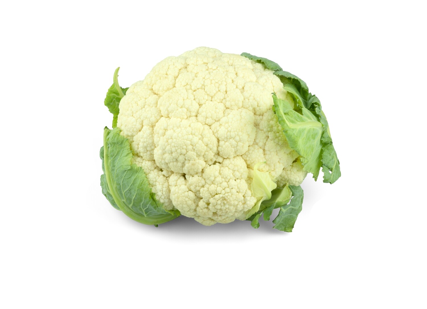 Fresh Cauliflower زهره" قرنبيط"