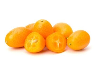 Fresh Kumquats برتقال ذهبى