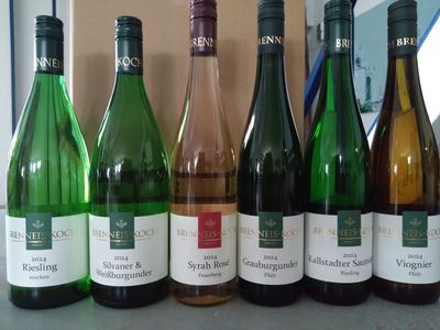 Verkostungspaket Jahrgang 2024 Verkostungspaket Jahrgang 2024