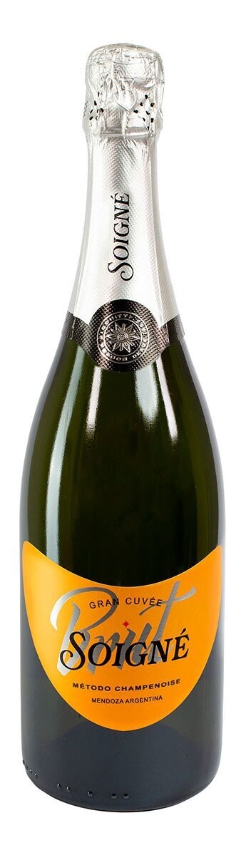 CICCHITTI SOIGNE Sekt - Brut