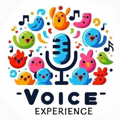 The Voice Experience - 1 Sessions (Each session is 1 hour long) 

[someone will contact you within 24hrs  to arrange the session after purchase]