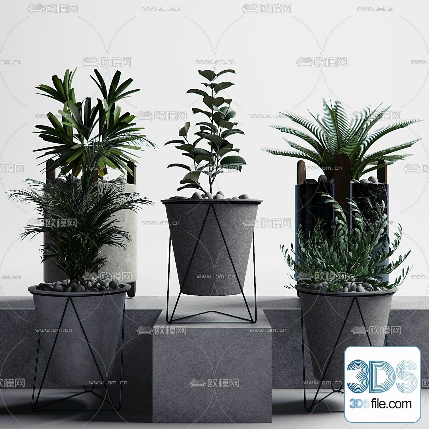 45 PLANT 3D MODELS PRO VOL03 . Vray