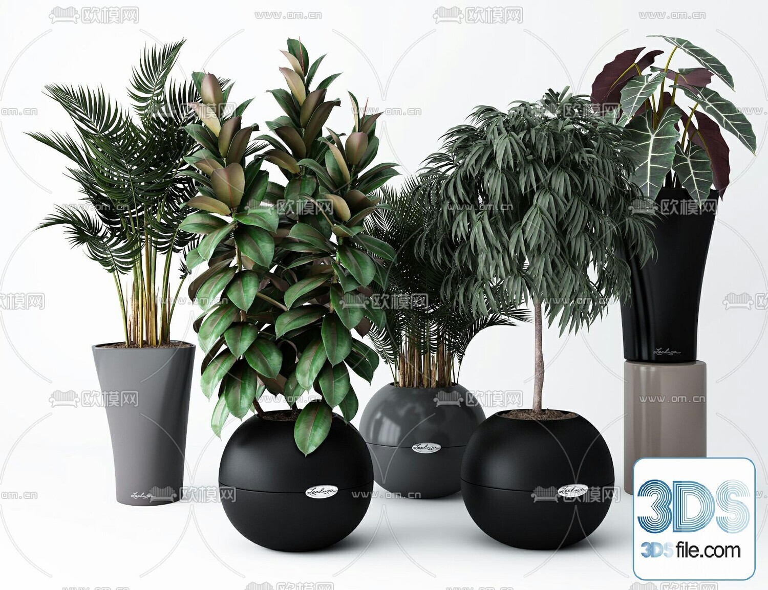 45 PLANT 3D MODELS PRO VOL03 . Vray
