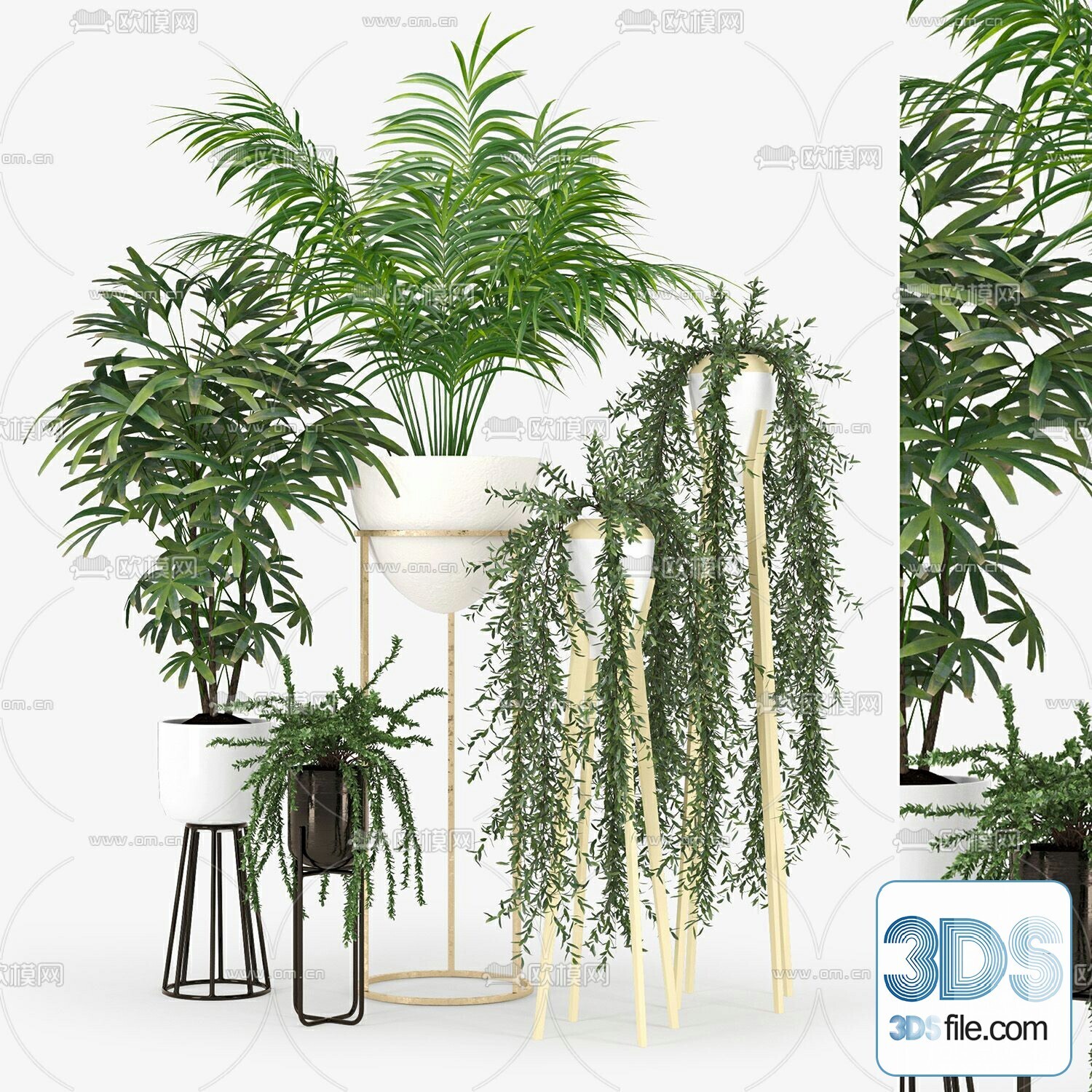 45 PLANT 3D MODELS PRO VOL03 . Vray