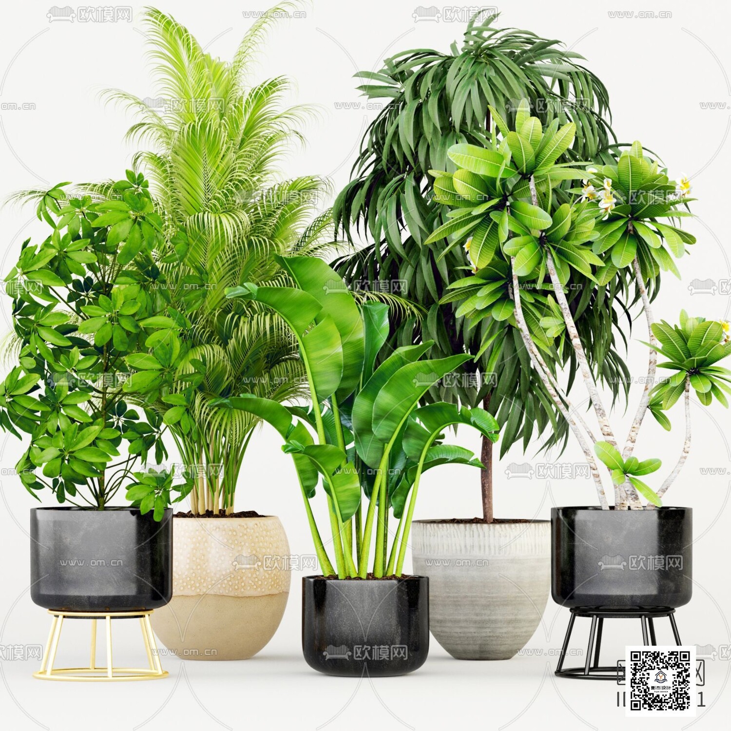45 PLANT 3D MODELS PRO VOL03 . Vray