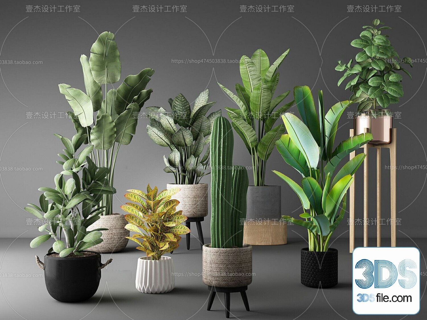 45 PLANT 3D MODELS PRO VOL03 . Vray