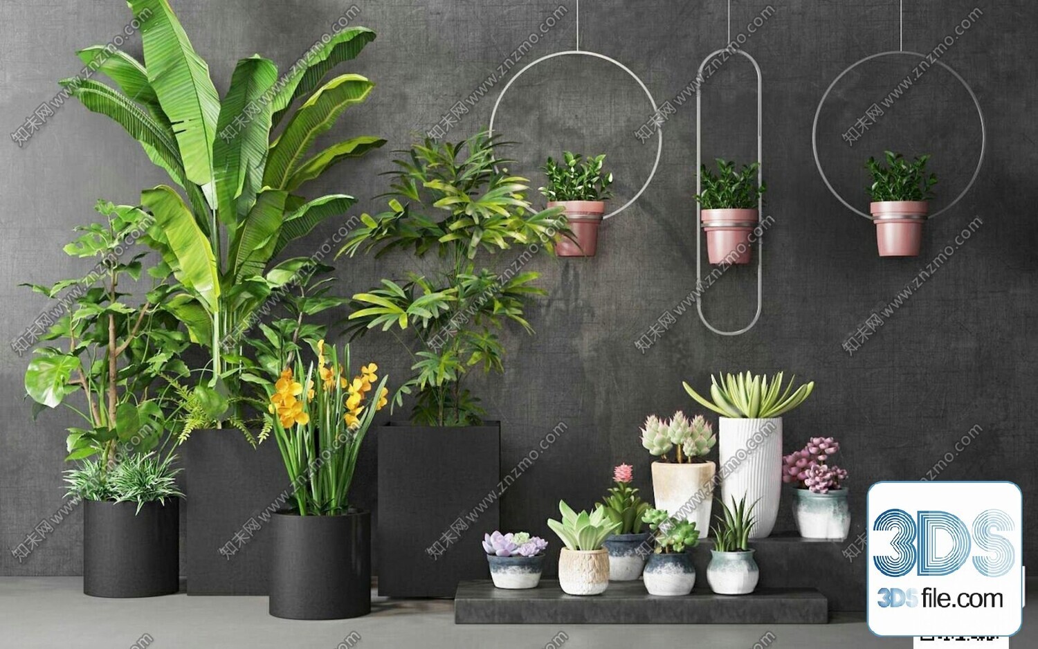 45 PLANT 3D MODELS PRO VOL03 . Vray