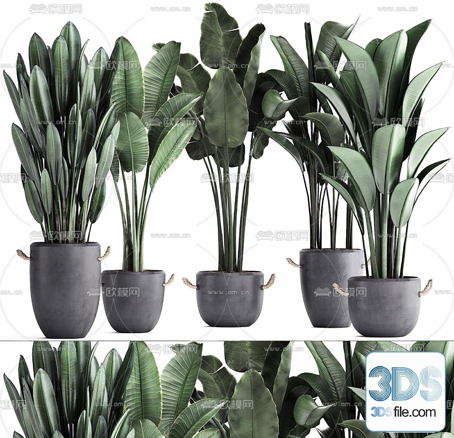 45 PLANT 3D MODELS PRO VOL03 . Vray