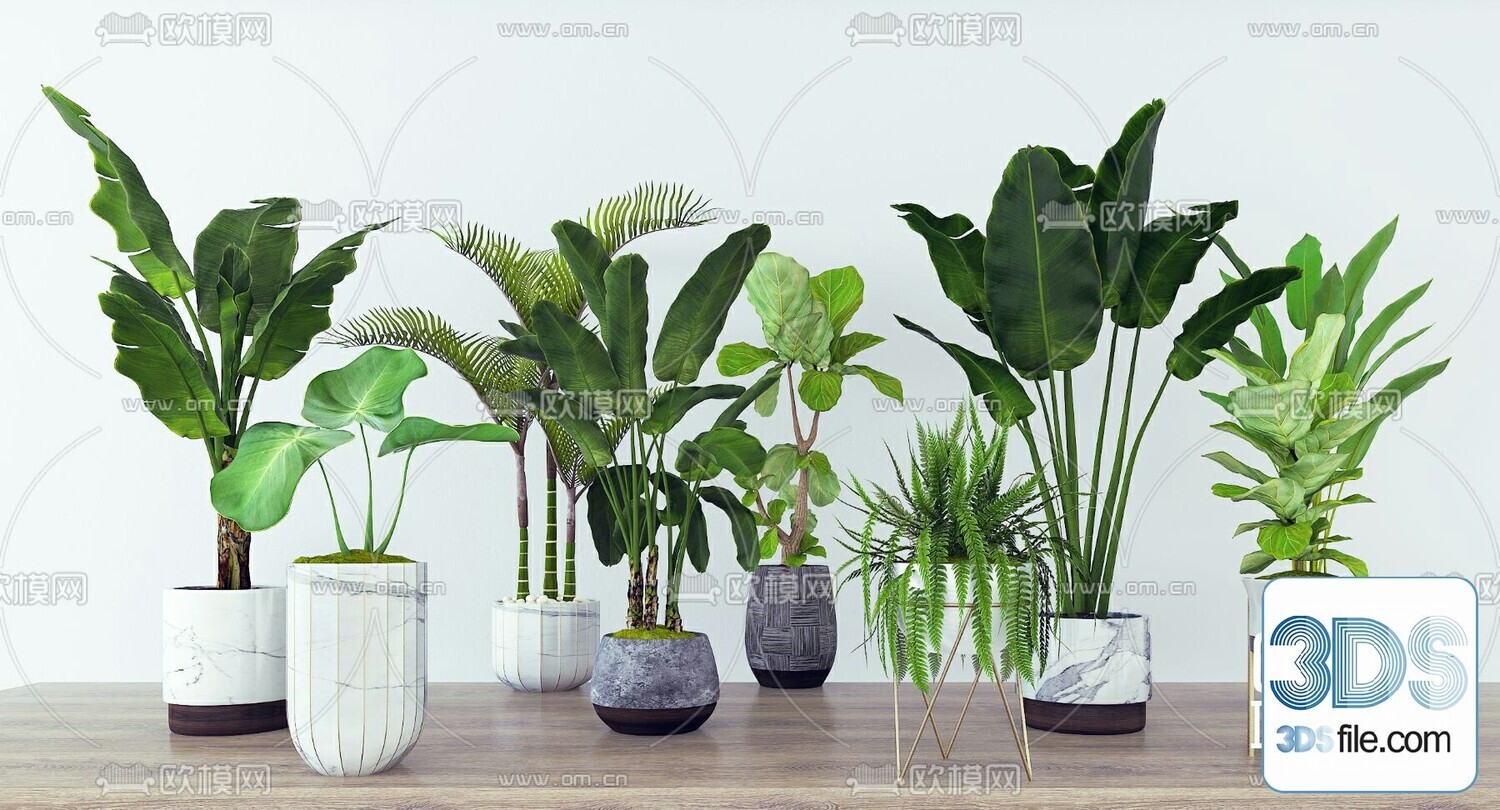 45 PLANT 3D MODELS PRO VOL03 . Vray
