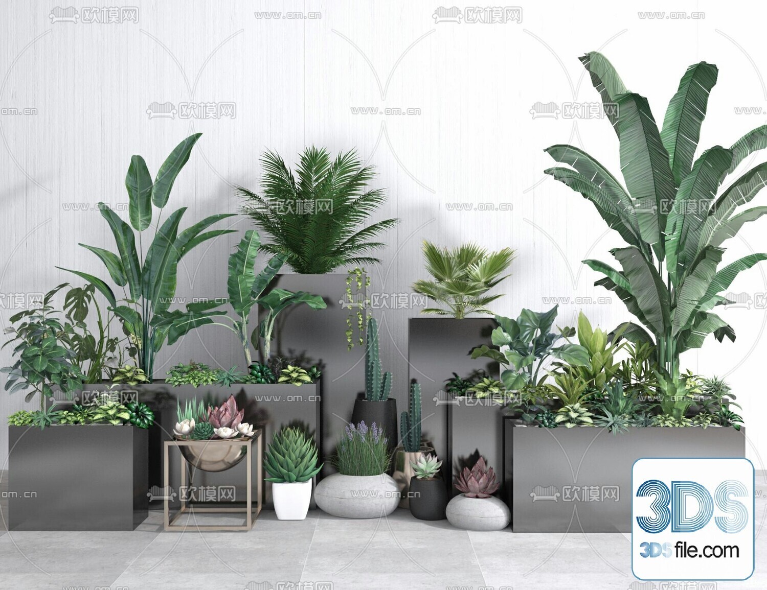 45 PLANT 3D MODELS PRO VOL03 . Vray
