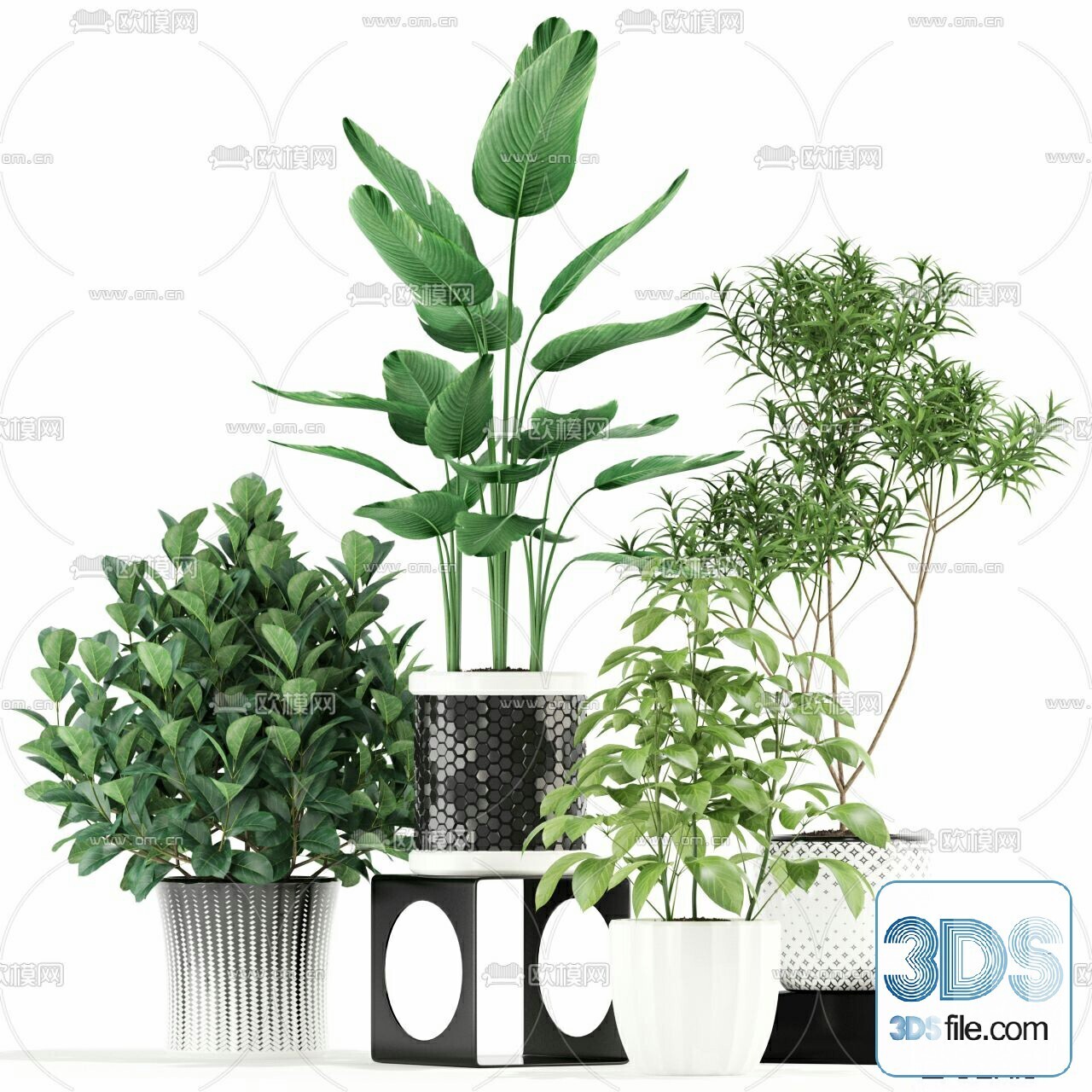 45 PLANT 3D MODELS PRO VOL03 . Vray