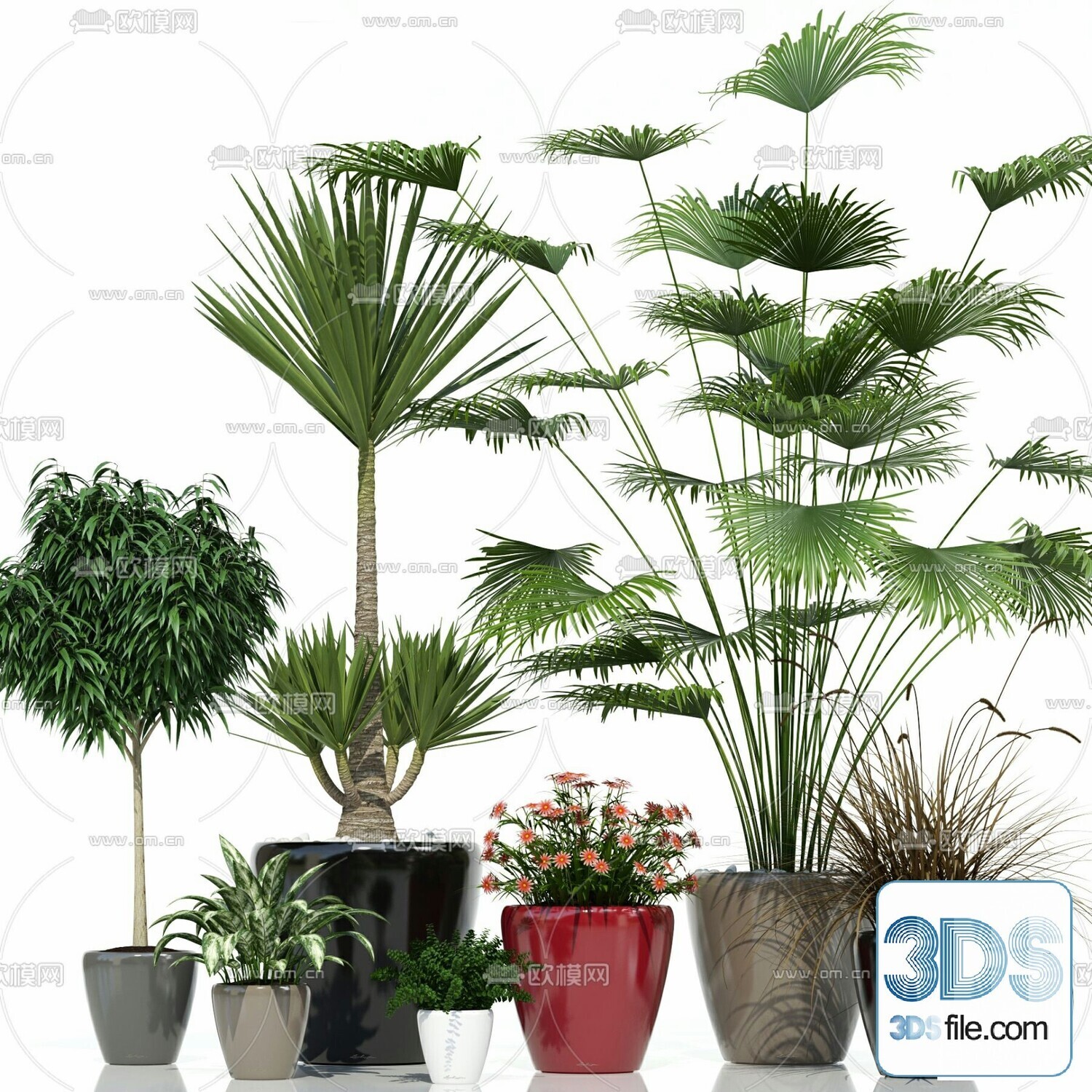 45 PLANT 3D MODELS PRO VOL03 . Vray