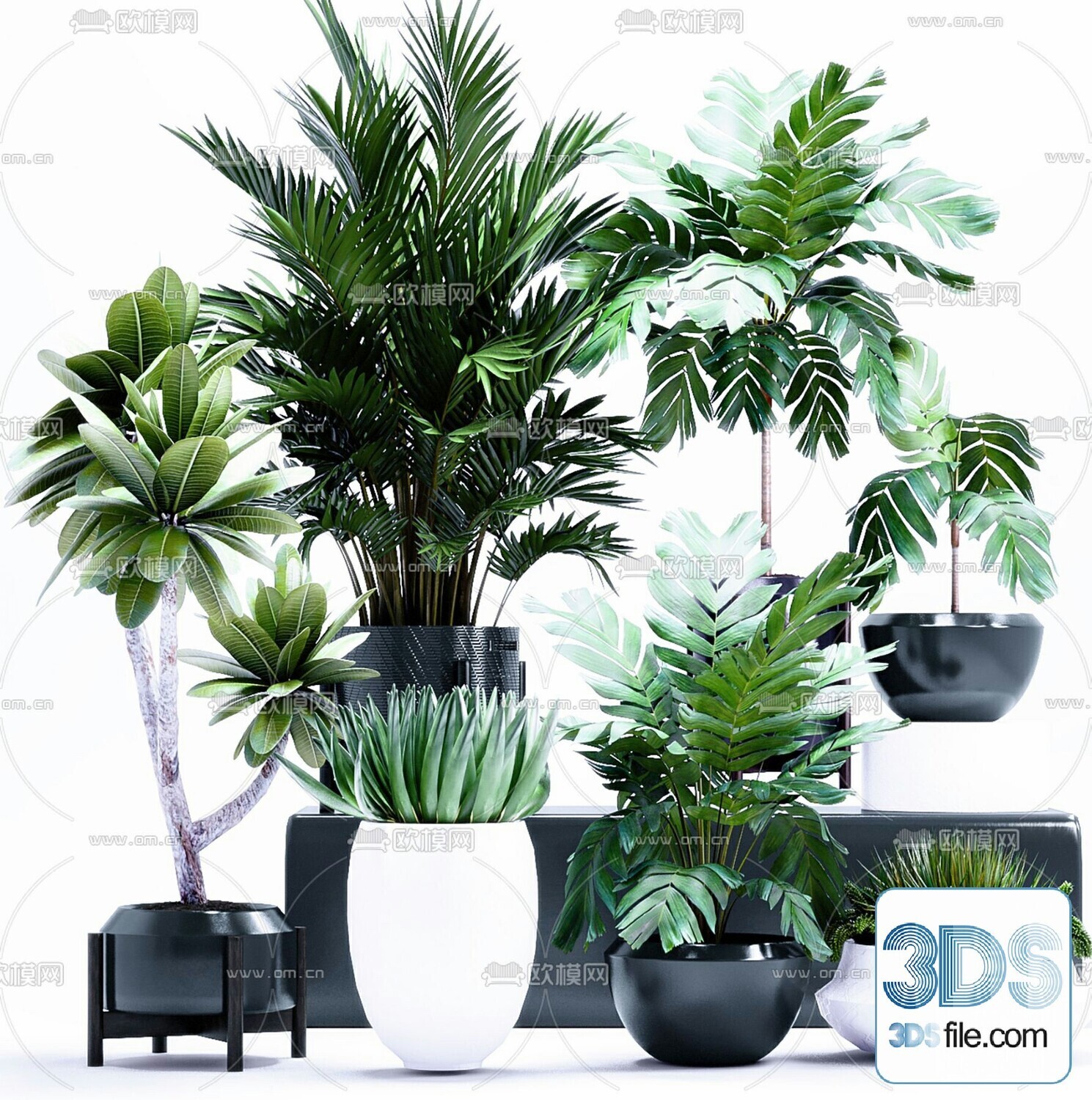 45 PLANT 3D MODELS PRO VOL03 . Vray