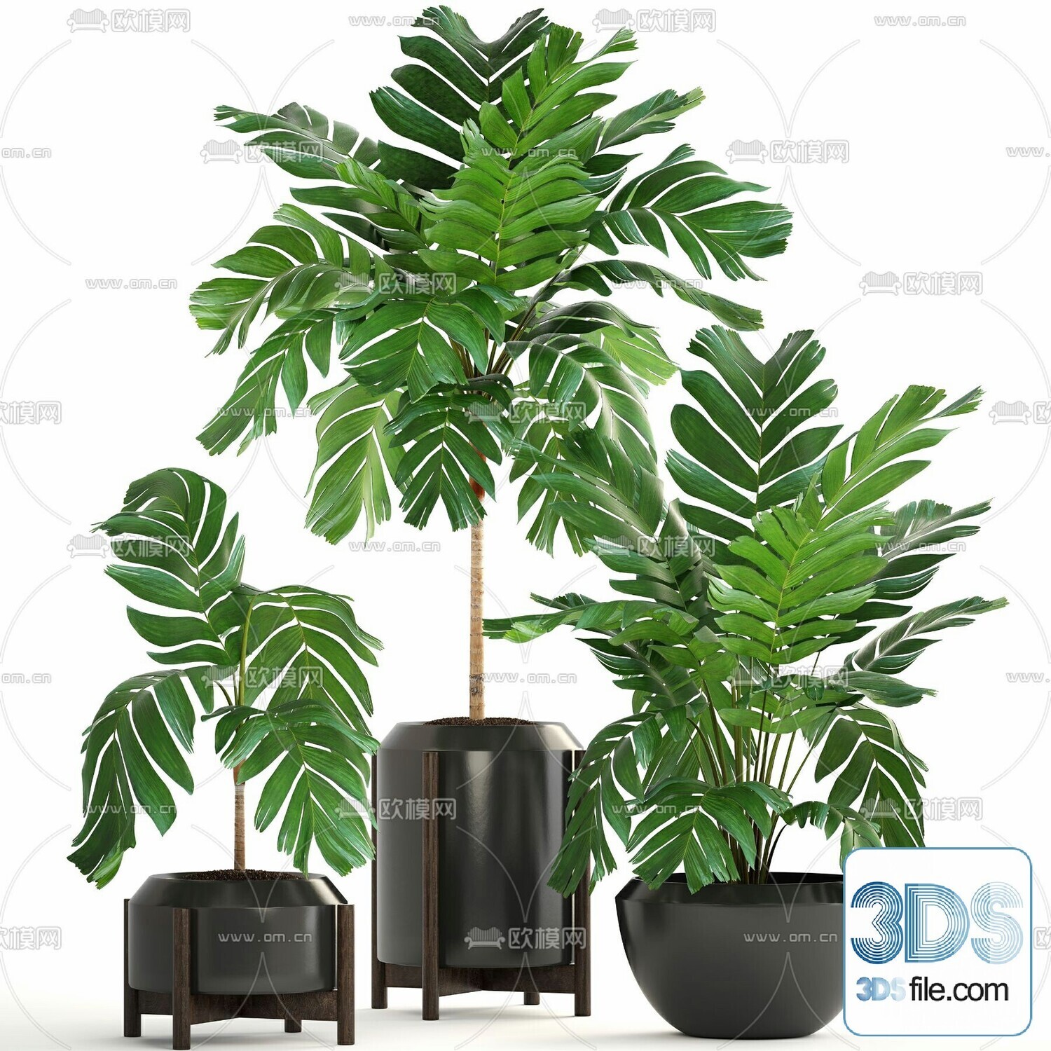 45 PLANT 3D MODELS PRO VOL03 . Vray