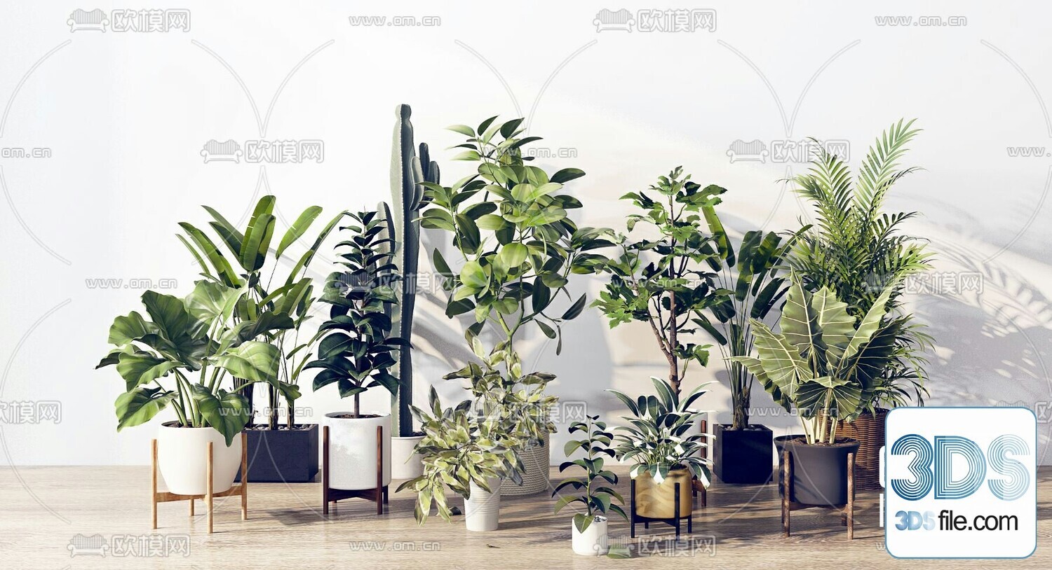 45 PLANT 3D MODELS PRO VOL03 . Vray