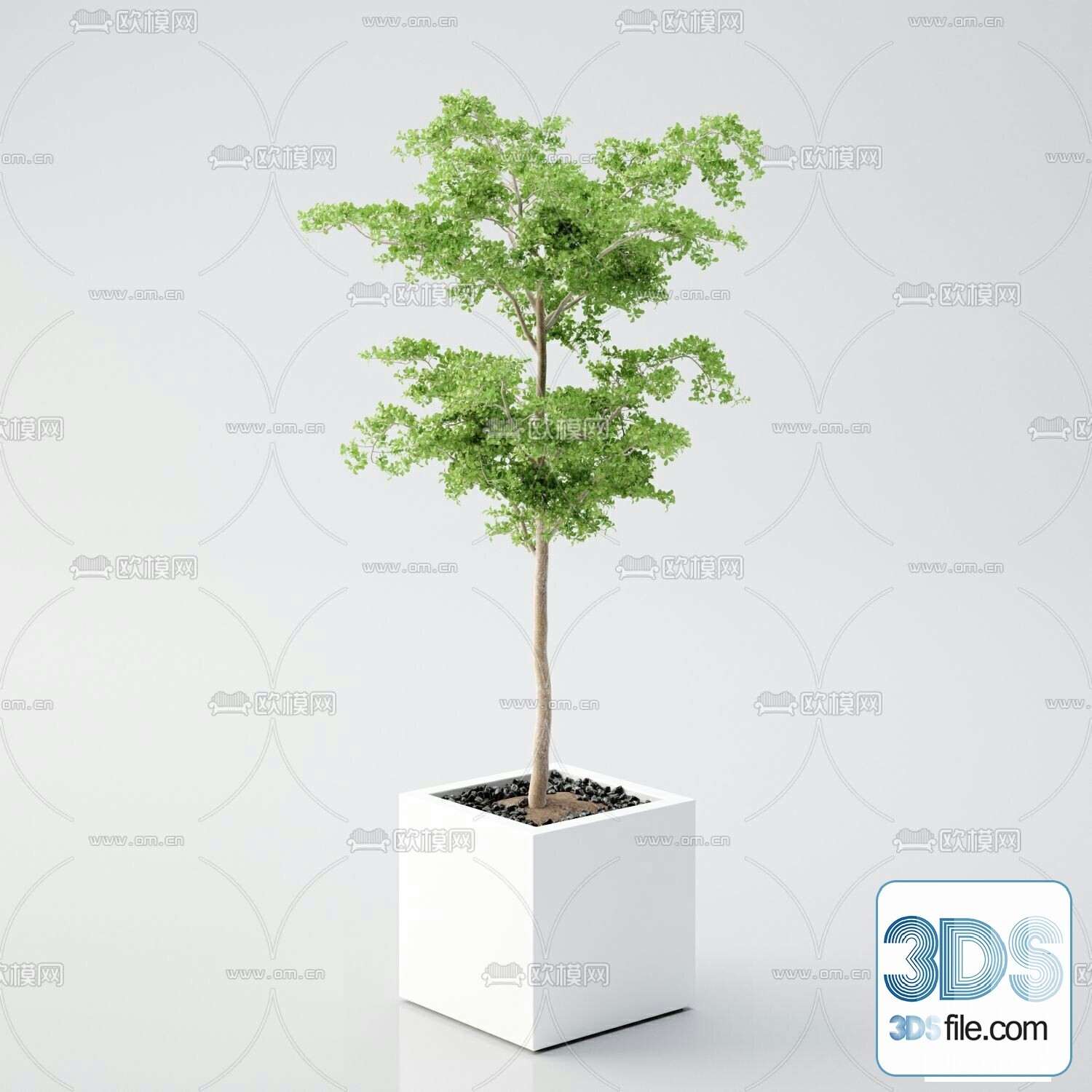 45 PLANT 3D MODELS PRO VOL03 . Vray