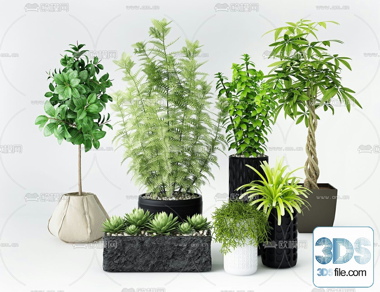 45 PLANT 3D MODELS PRO VOL03 . Vray