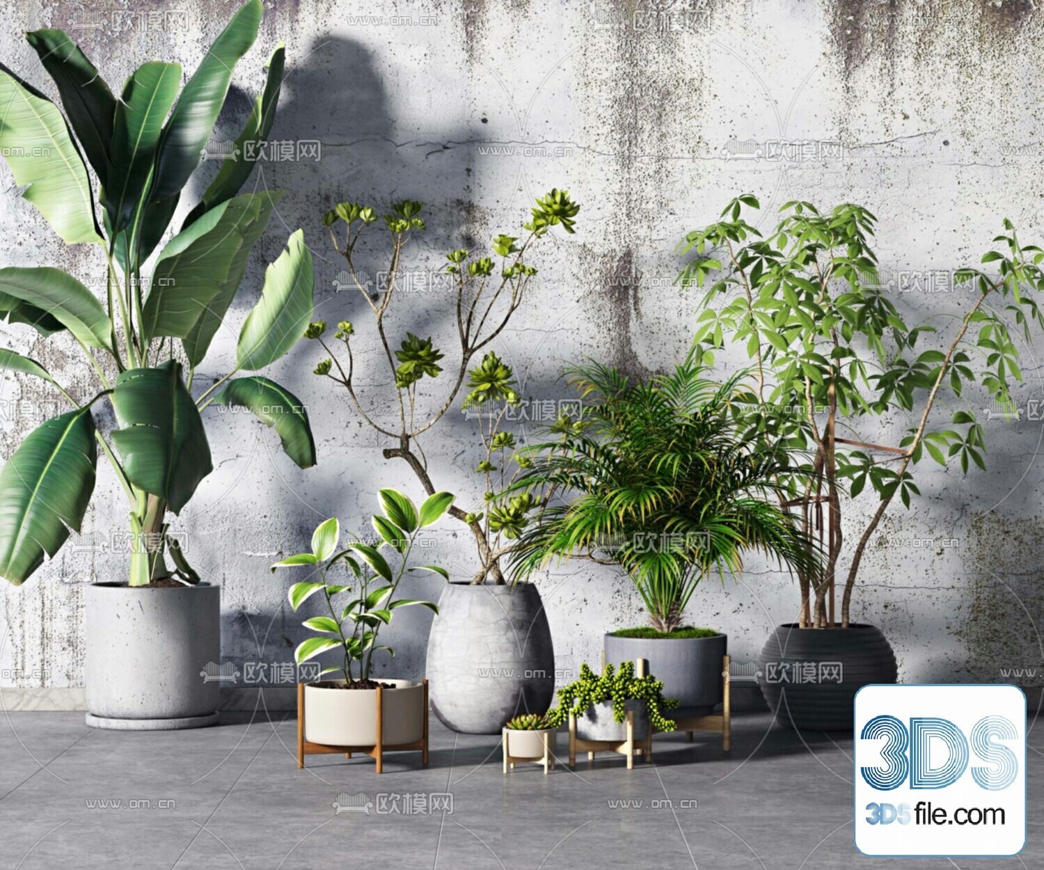 45 PLANT 3D MODELS PRO VOL03 . Vray