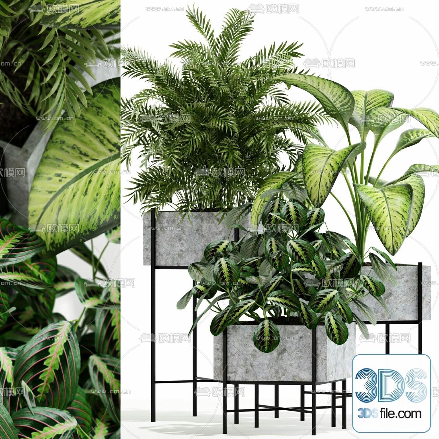 45 PLANT 3D MODELS PRO VOL03 . Vray