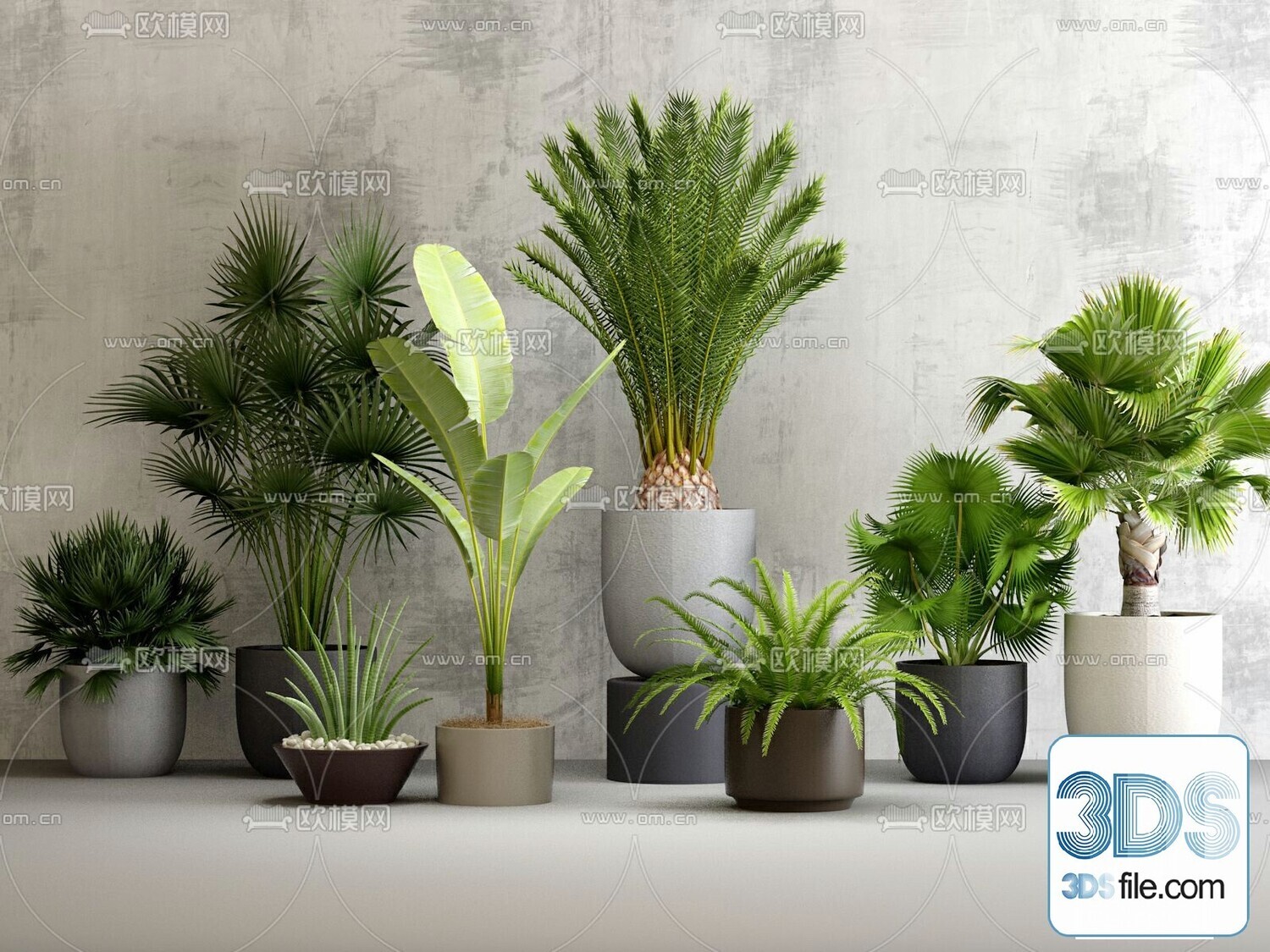 45 PLANT 3D MODELS PRO VOL03 . Vray
