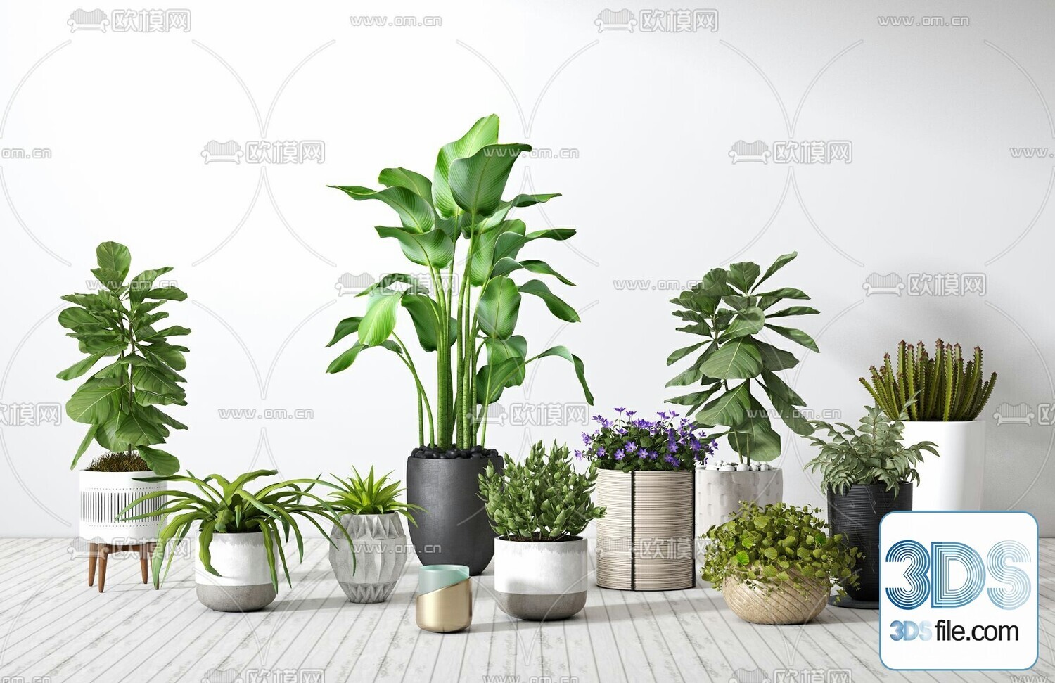45 PLANT 3D MODELS PRO VOL03 . Vray