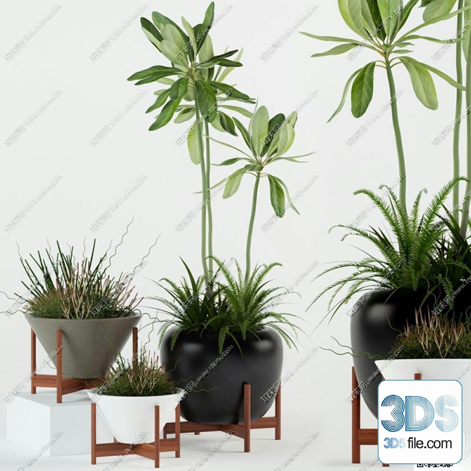 45 PLANT 3D MODELS PRO VOL03 . Vray