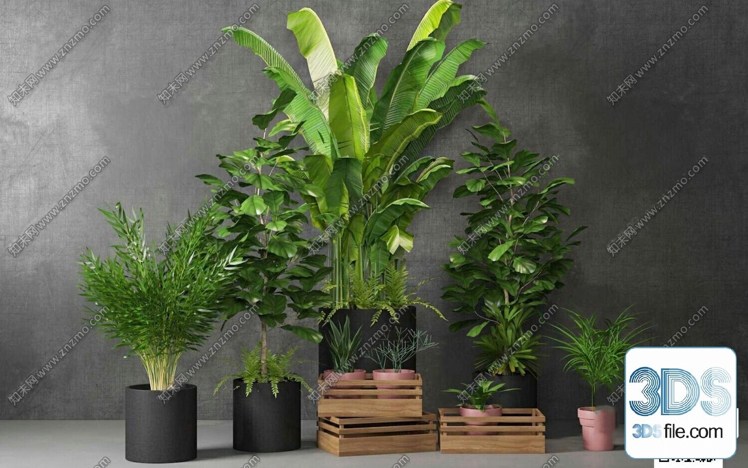 45 PLANT 3D MODELS PRO VOL03 . Vray