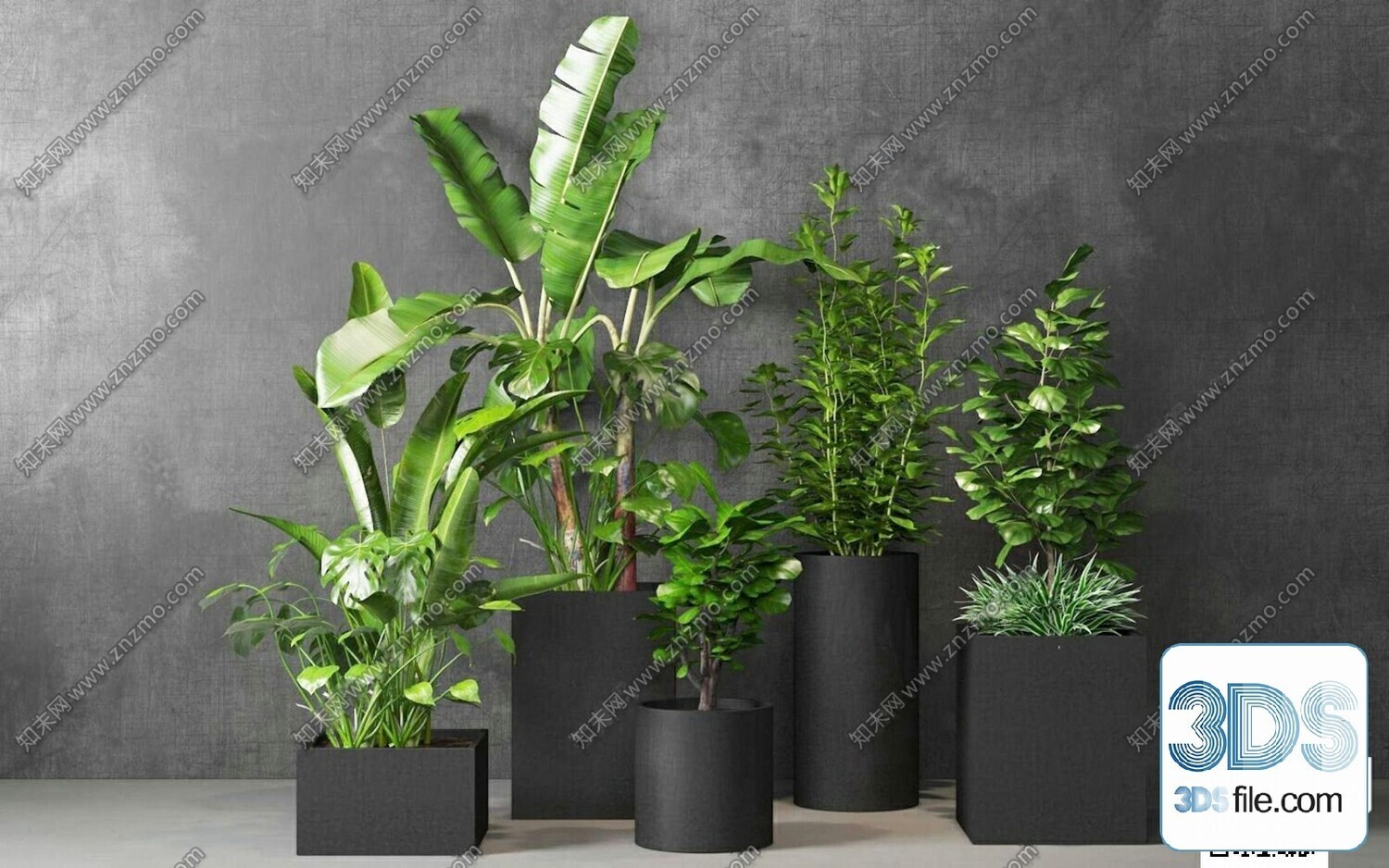 45 PLANT 3D MODELS PRO VOL03 . Vray