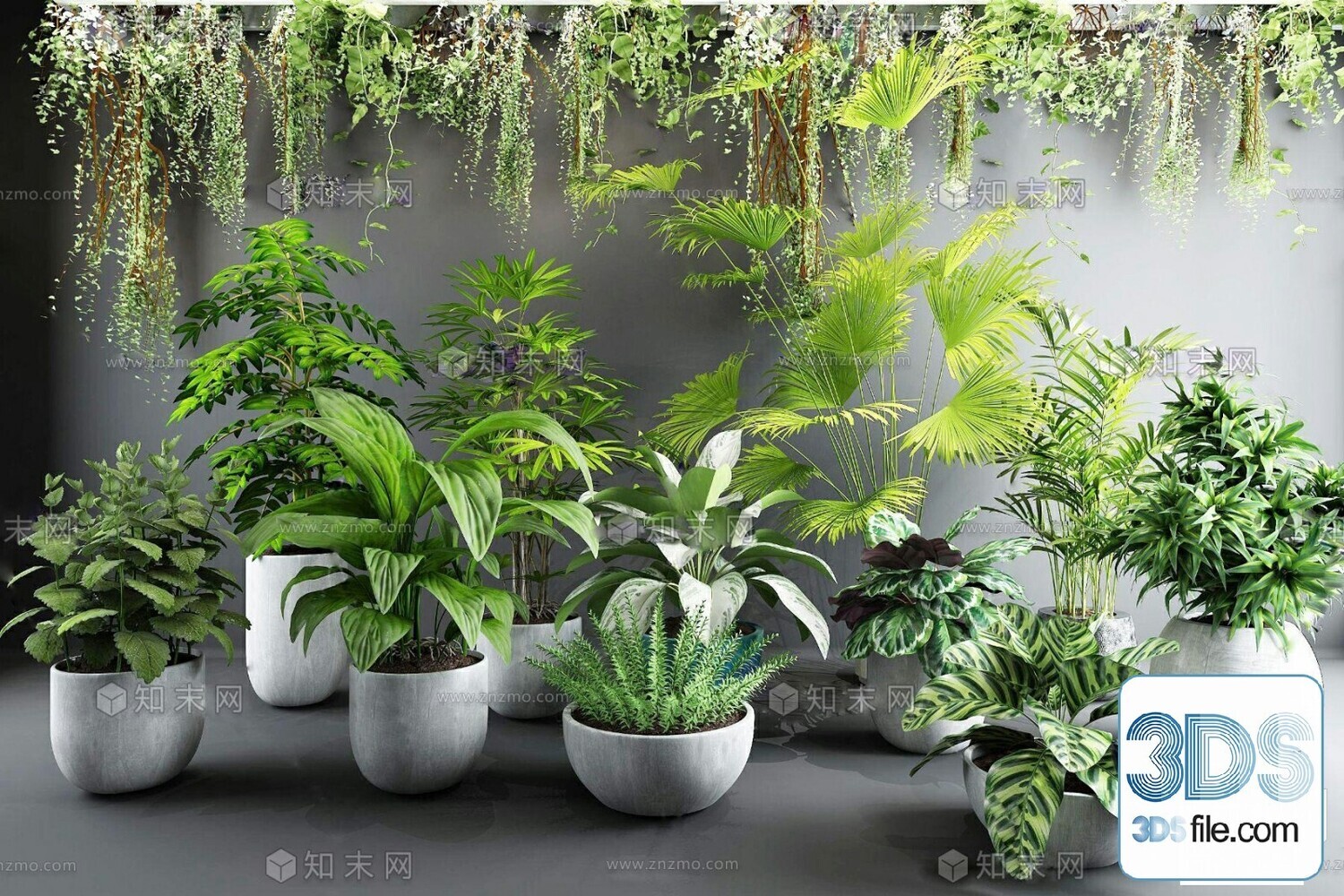 45 PLANT 3D MODELS PRO VOL03 . Vray