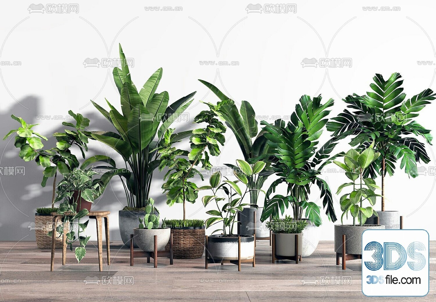 45 PLANT 3D MODELS PRO VOL03 . Vray