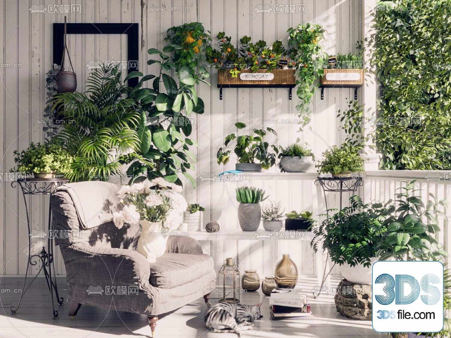45 PLANT 3D MODELS PRO VOL03 . Vray