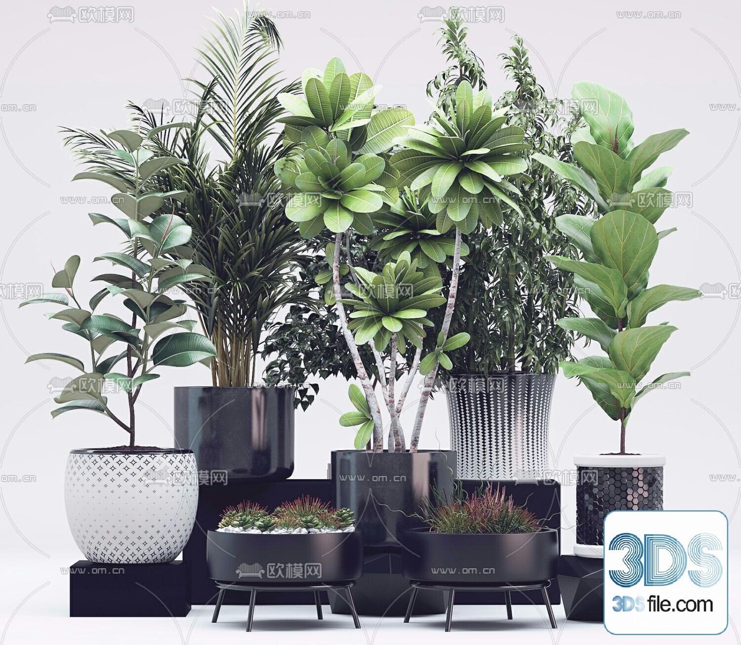 45 PLANT 3D MODELS PRO VOL03 . Vray