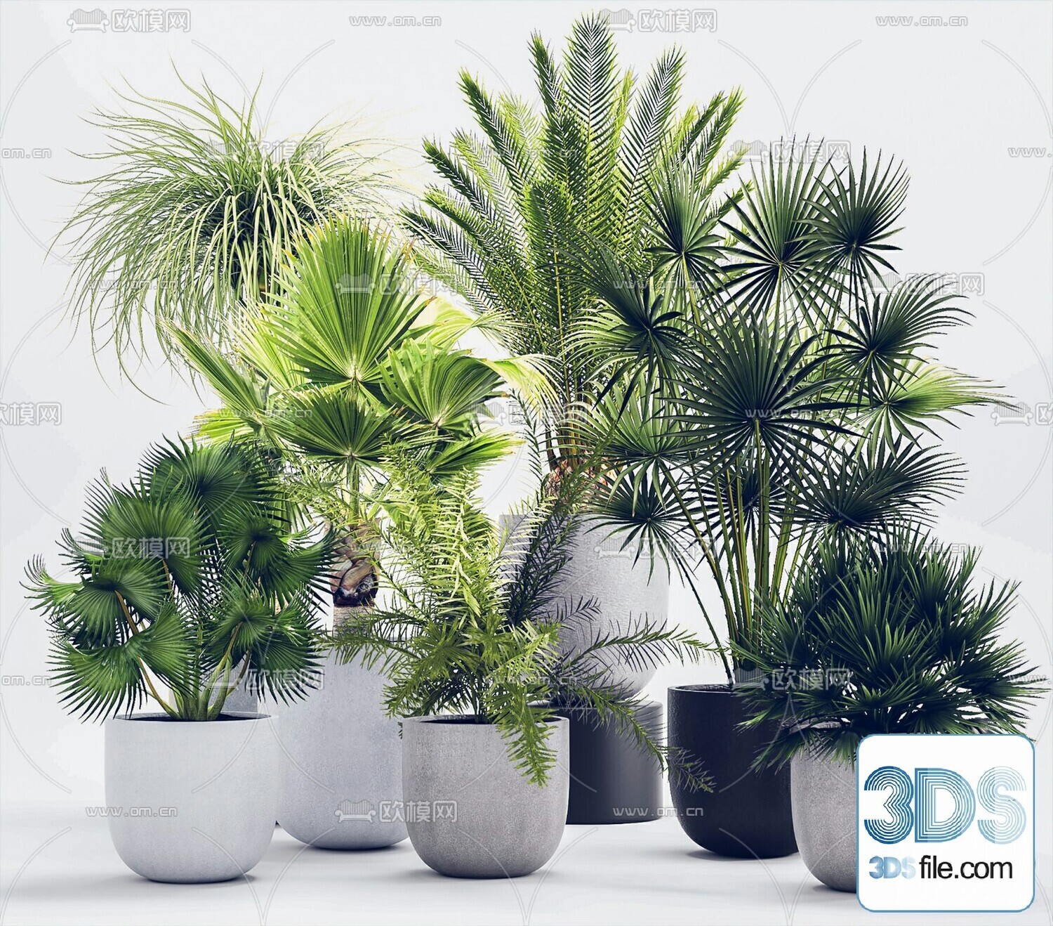 45 PLANT 3D MODELS PRO VOL03 . Vray
