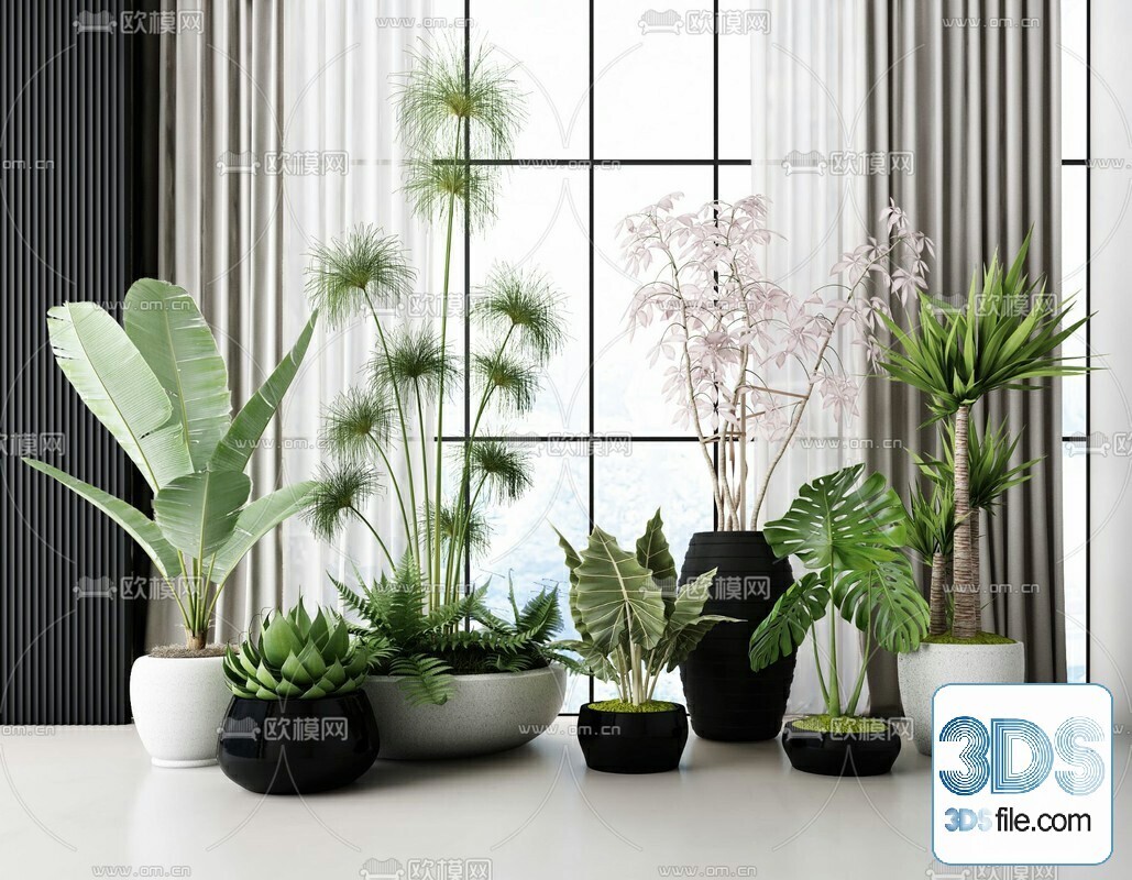 45 PLANT 3D MODELS PRO VOL03 . Vray