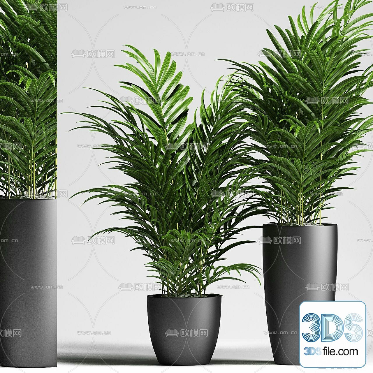 45 PLANT 3D MODELS PRO VOL03 . Vray