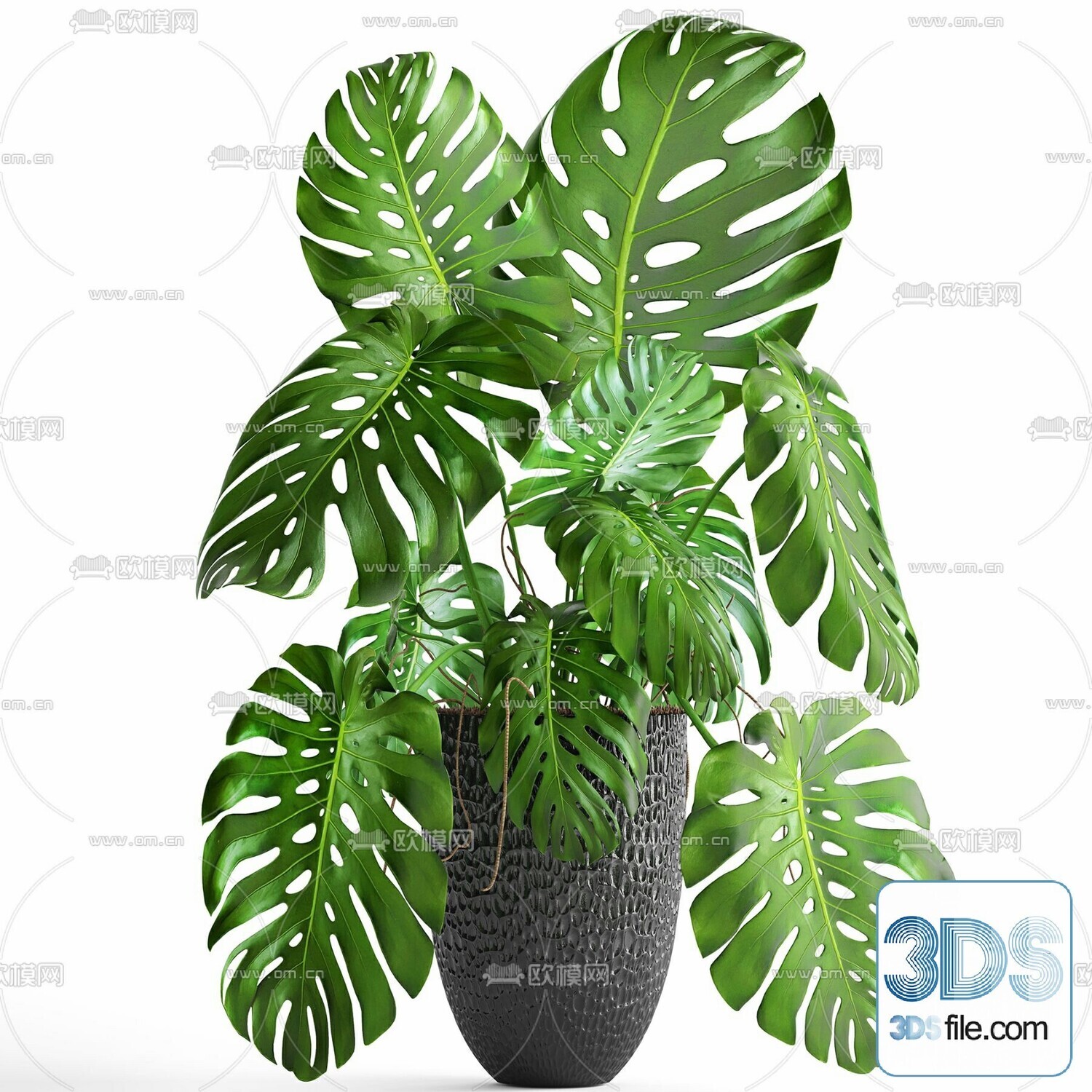 45 PLANT 3D MODELS PRO VOL03 . Vray