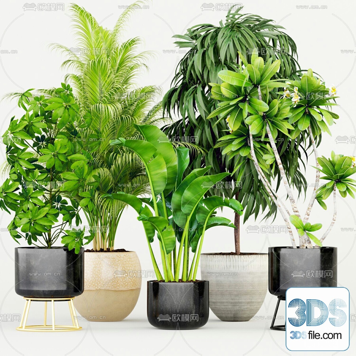 45 PLANT 3D MODELS PRO VOL03 . Vray