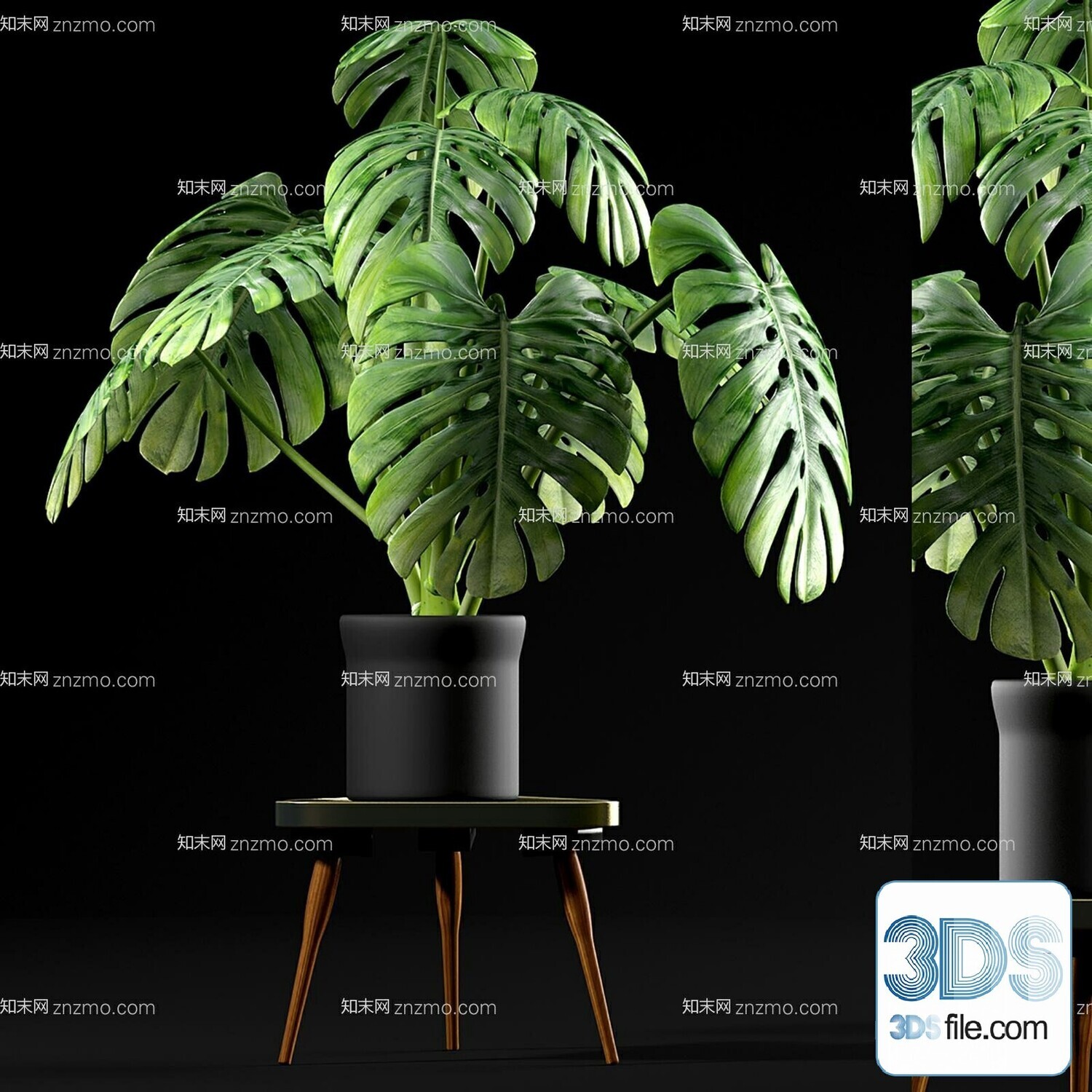 45 PLANT 3D MODELS PRO VOL03 . Vray