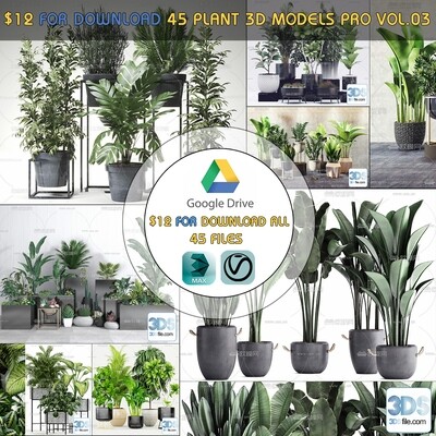 45 PLANT 3D MODELS PRO VOL03 . Vray